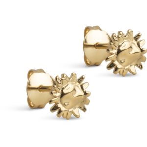 Enamel Small Sunshine øreringe E420G