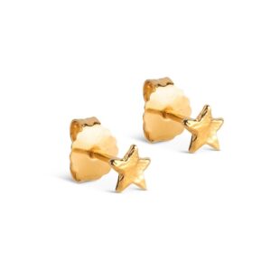 Enamel Star Energy øreringe E410G