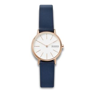Skagen Signatur Lille SKW2838