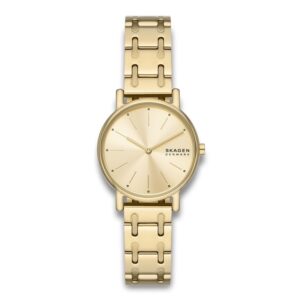 Skagen Signatur Lille SKW3124