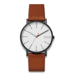 Skagen Signatur SKW6374